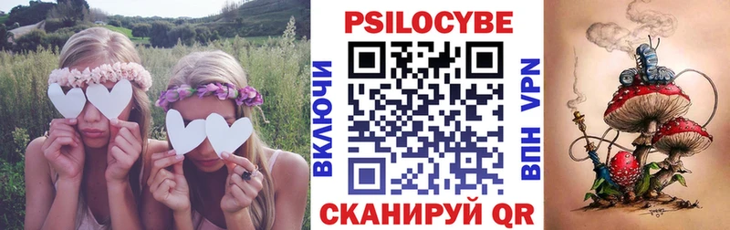 Псилоцибиновые грибы GOLDEN TEACHER  Николаевск-на-Амуре 